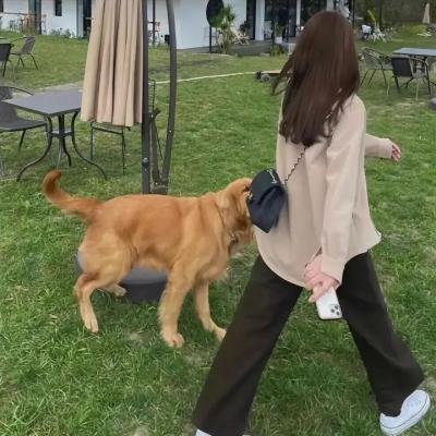 轰天大追击