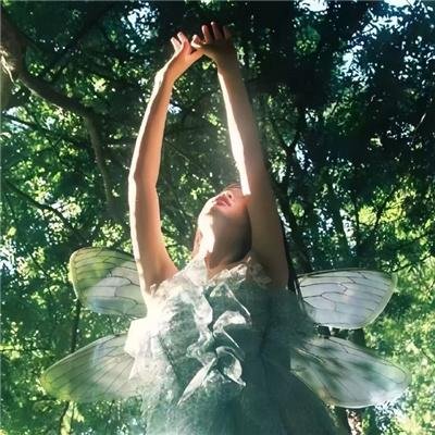 荒野独居第十季